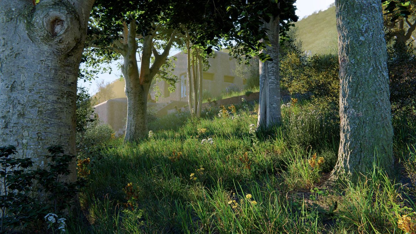 Nature assets