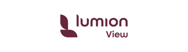 Lumion View
